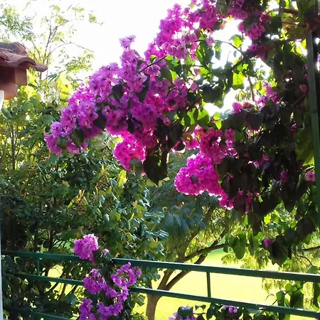 Nedjeljka Appartement